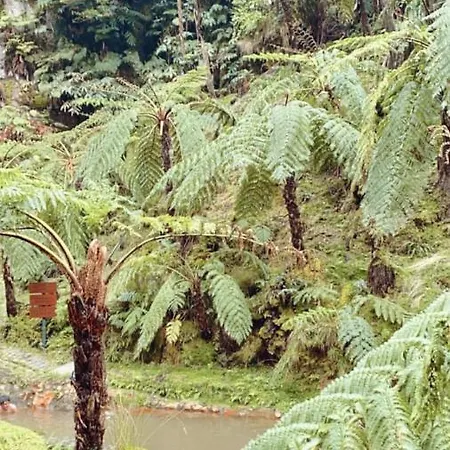 Toi Et Moi Apartments-guests Speek For Us! Apartament